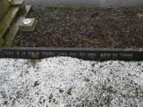 image of grave number 797459